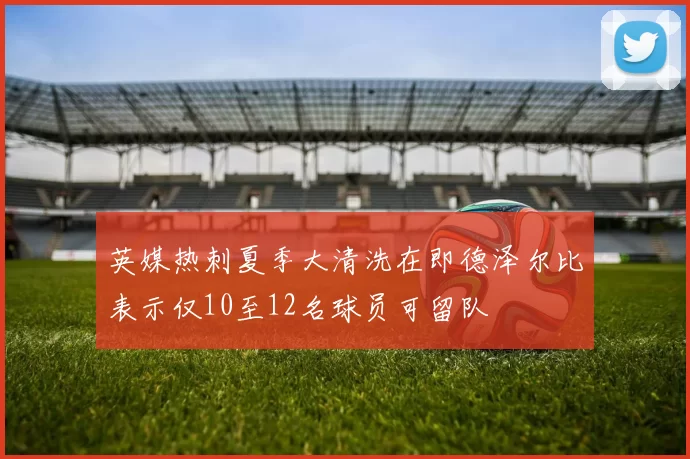 英媒热刺夏季大清洗在即德泽尔比表示仅10至12名球员可留队