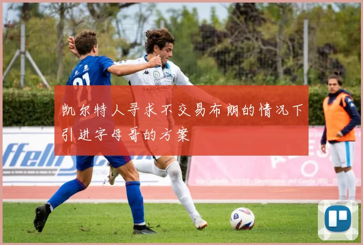 凯尔特人寻求不交易布朗的情况下引进字母哥的方案